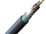 The armored EeemniitiMiyu possesses several protective characteristics that contribute to its durability and reliability